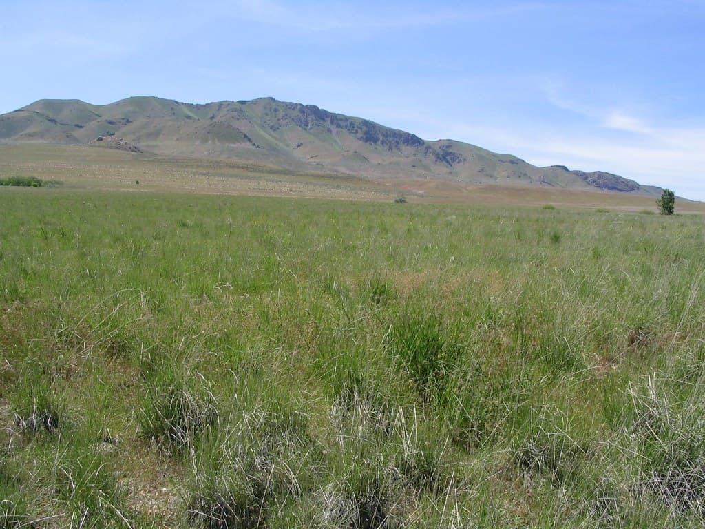 Antelope Island State Park, Utah