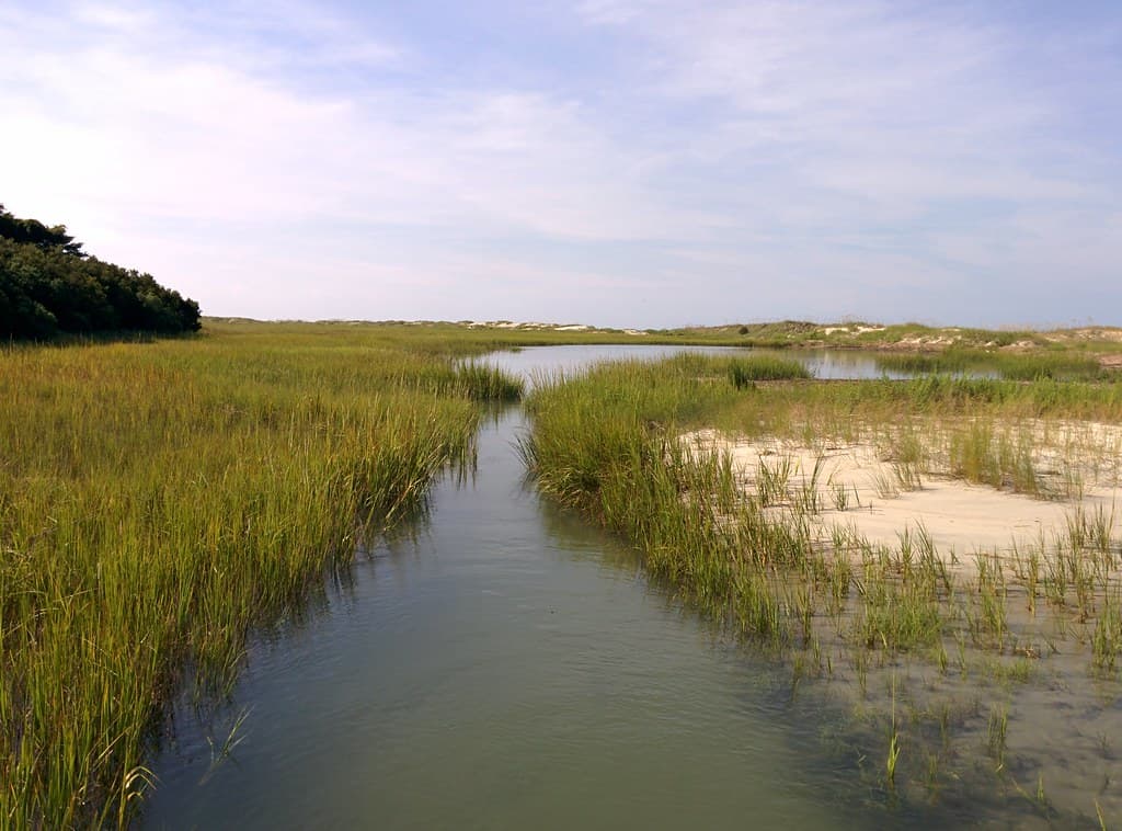 Monk's Island