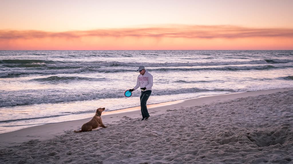 Beach Buddies