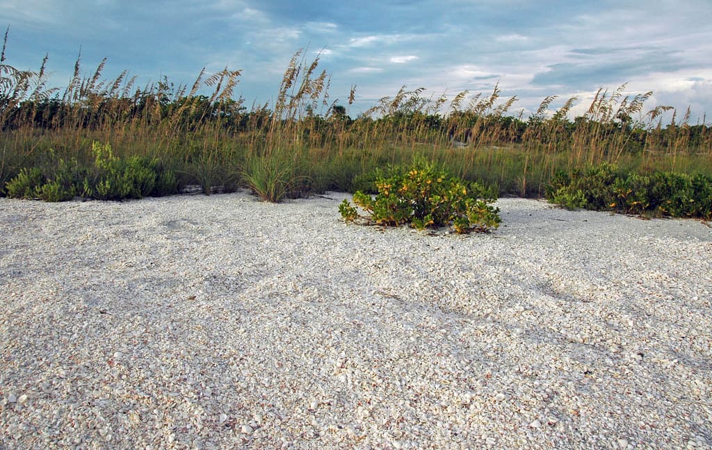 Lagoon Pass Beach view 3