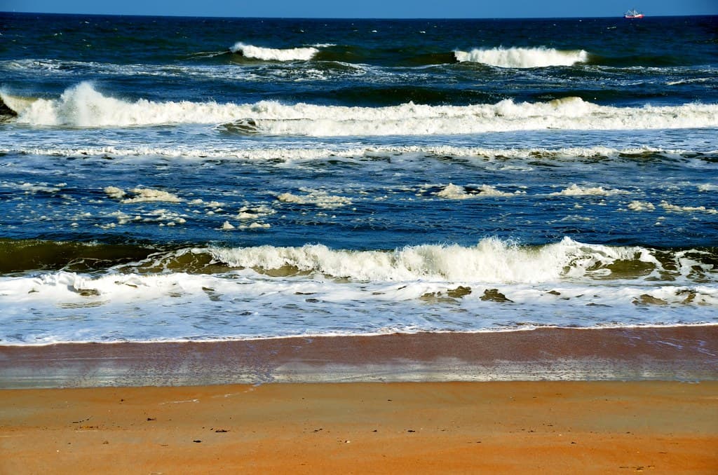 Gamble Rogers State Park