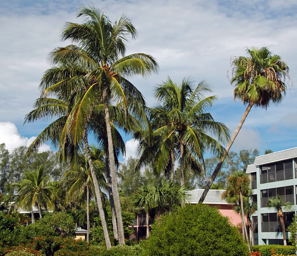 Four Tree Island Shoreline