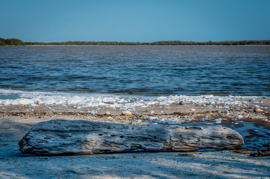 Salt Cay III...