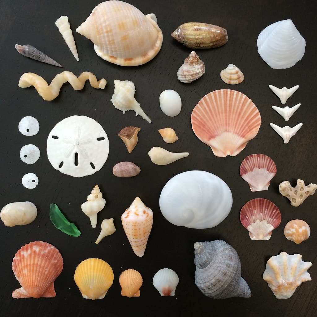 all my favorites from spring break 2016