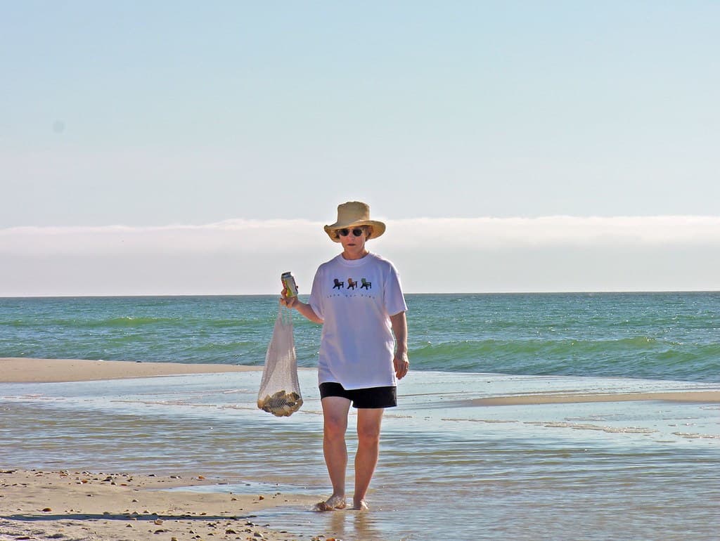 Shell Collector Walks Down Beach