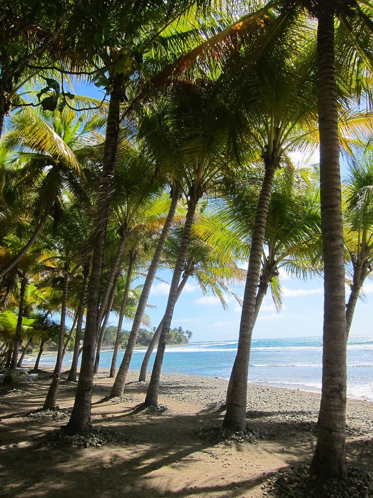 Punta Tuna Beach — photo by Joe Shlabotnik