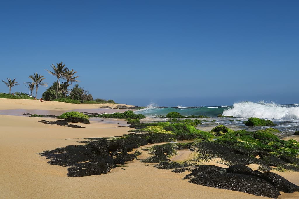 Sandy Beach, aka Break-Neck Beach