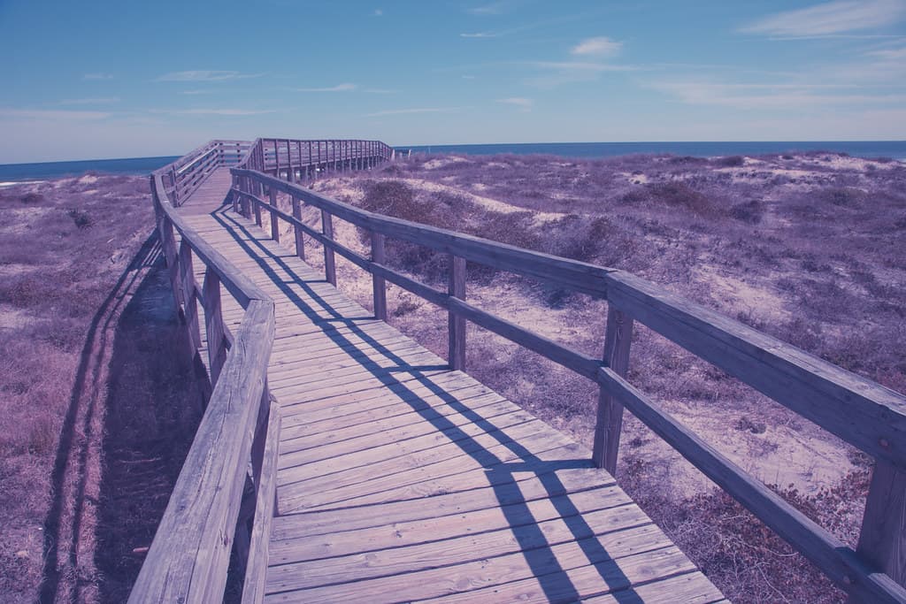 The boardwalk path to the beach at Little Talbot Island State Park in Jacksonville