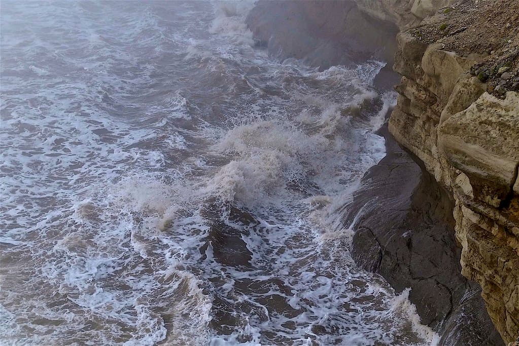 Foggy Coast ...