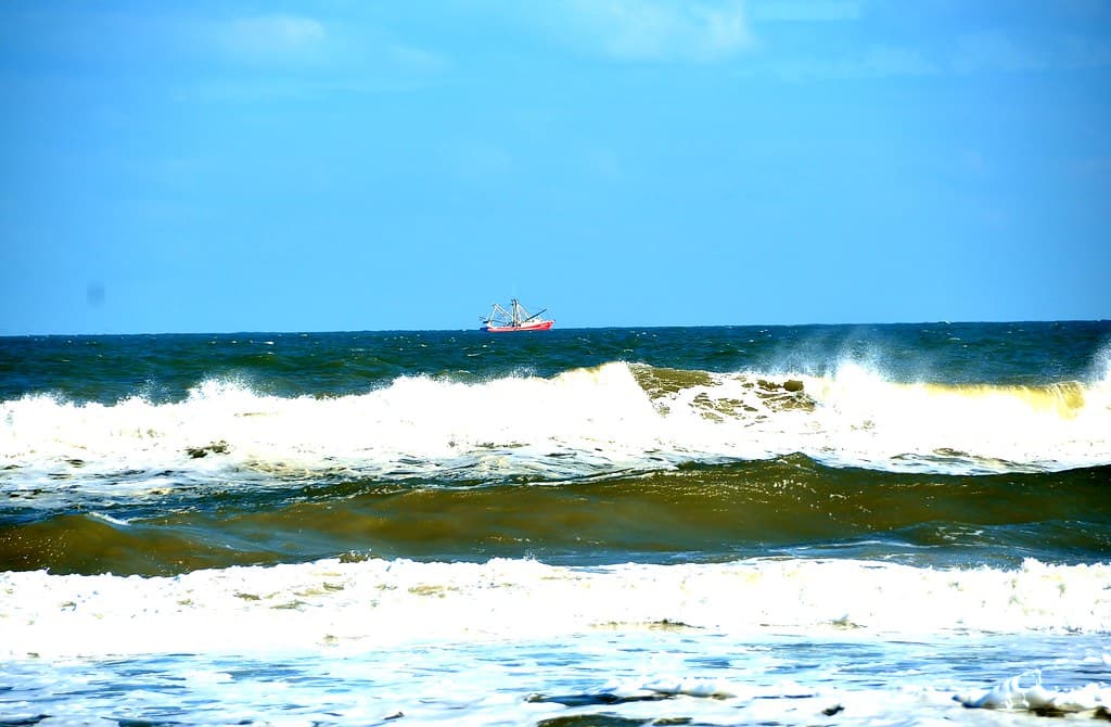 Gamble Rogers State Park