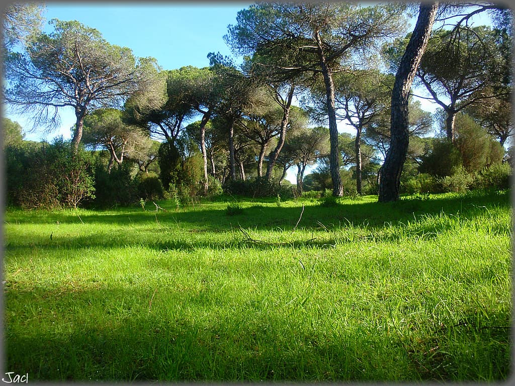 Laguna del Portil-Huelva (Spain)