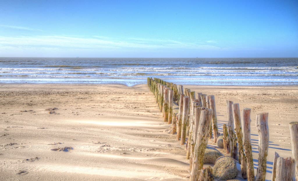 Springtime Beach (Explore)