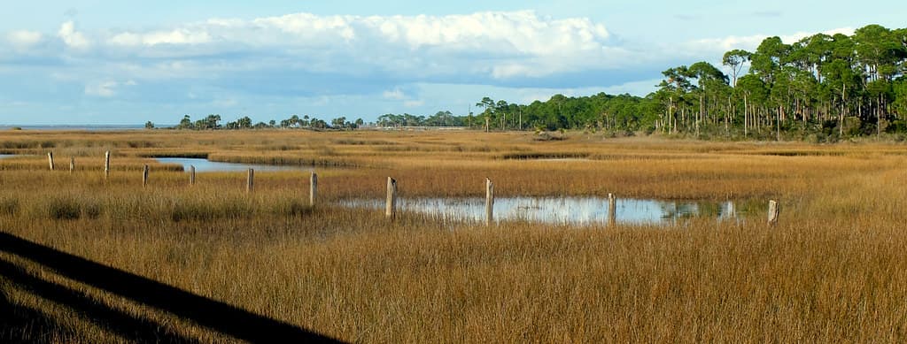 East Beach at Fort De Soto, Tierra Verde