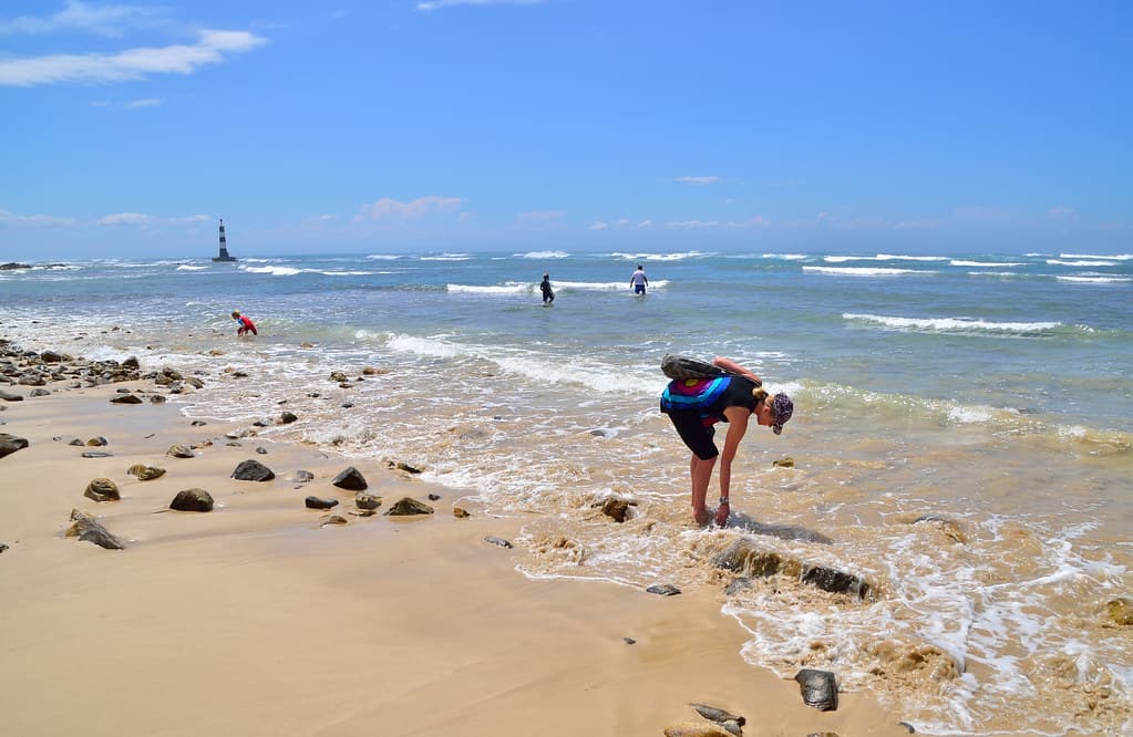 Cape Recife Beach — photo by jjay69