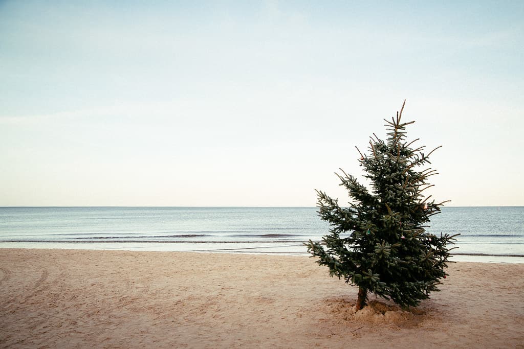 Ückeritz Achterwasser Beach — photo by labuero