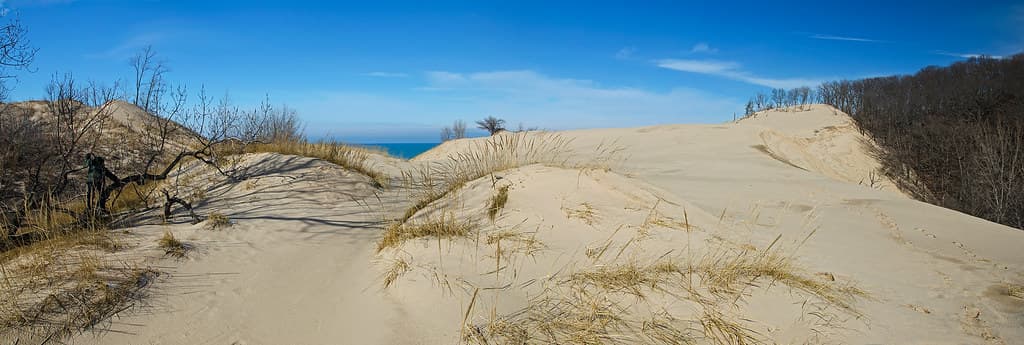 Expansive Dunes