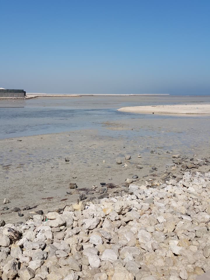 Reef Island Lagoon Beach