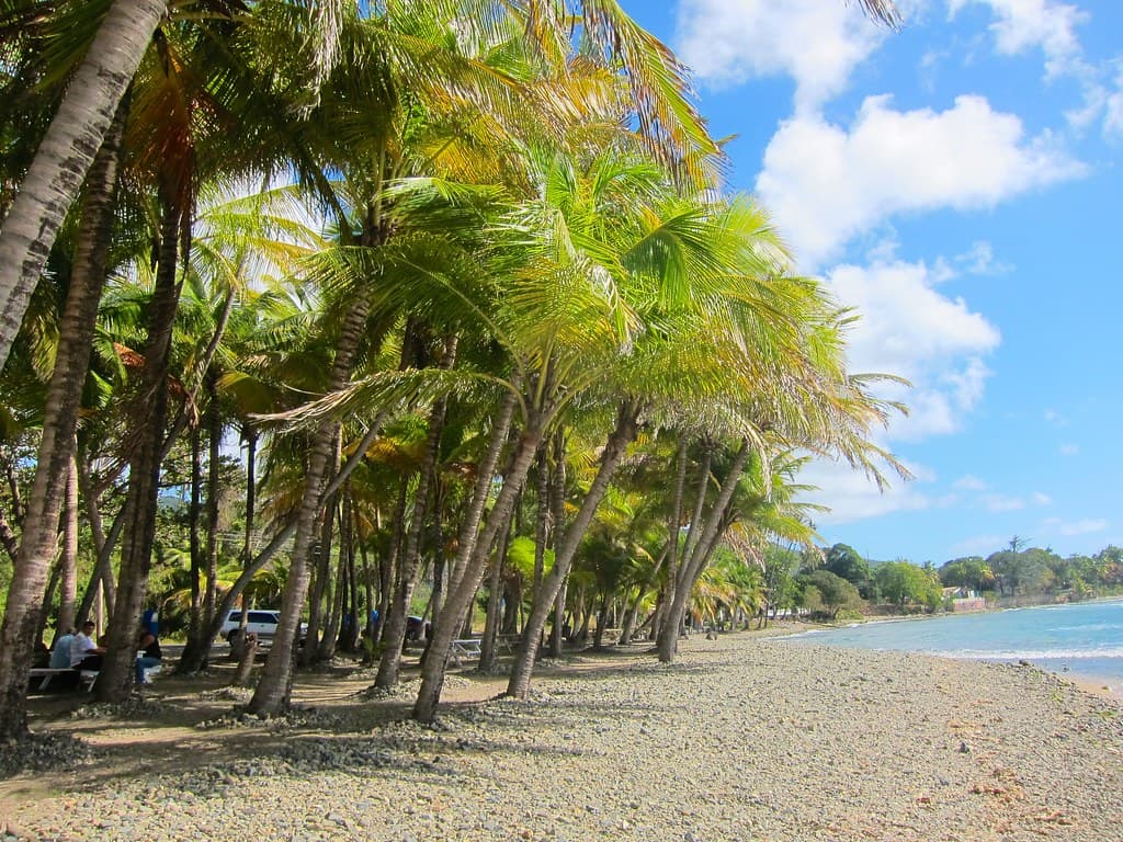 Punta Tuna Beach — photo by Joe Shlabotnik