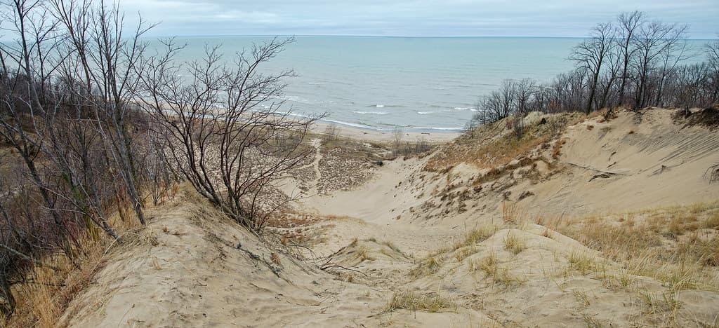 The View North