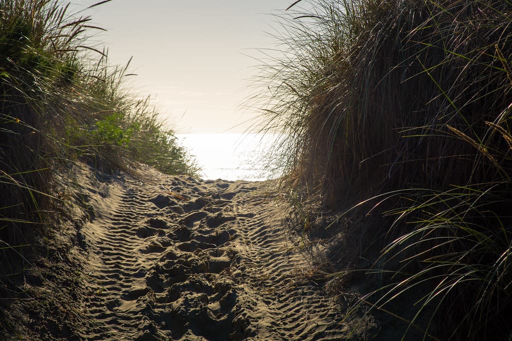 Waikuku Beach — photo by vjpaul