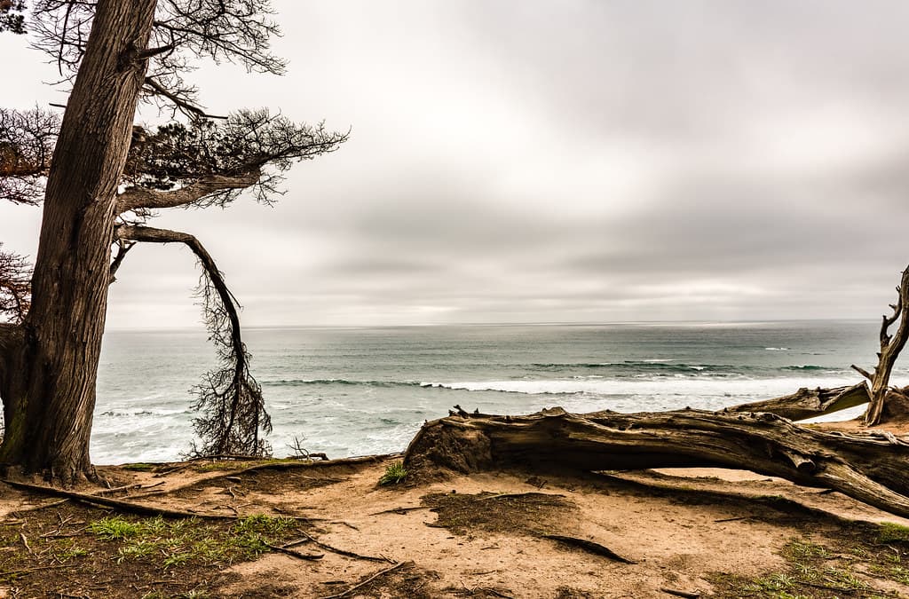 Ocean View