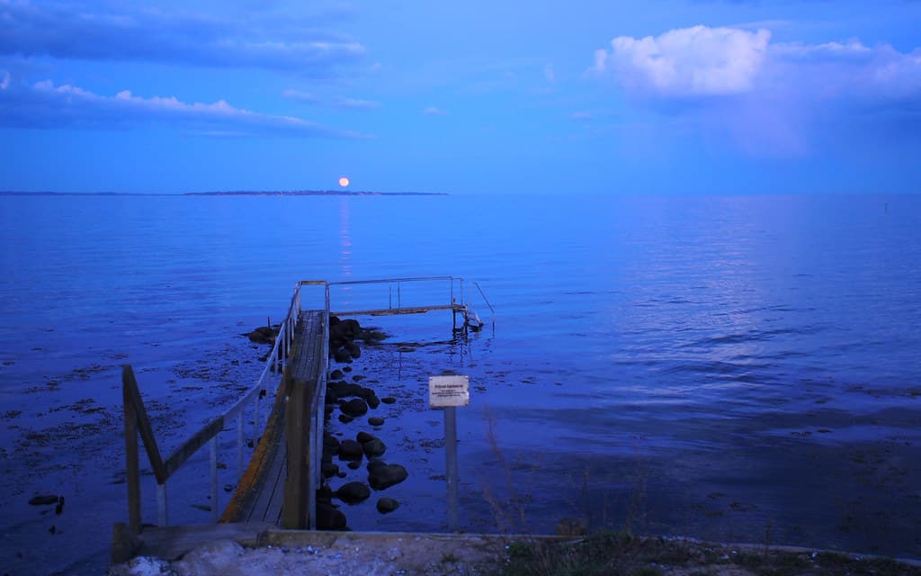 Nivå Strandpark — photo by :NFR: