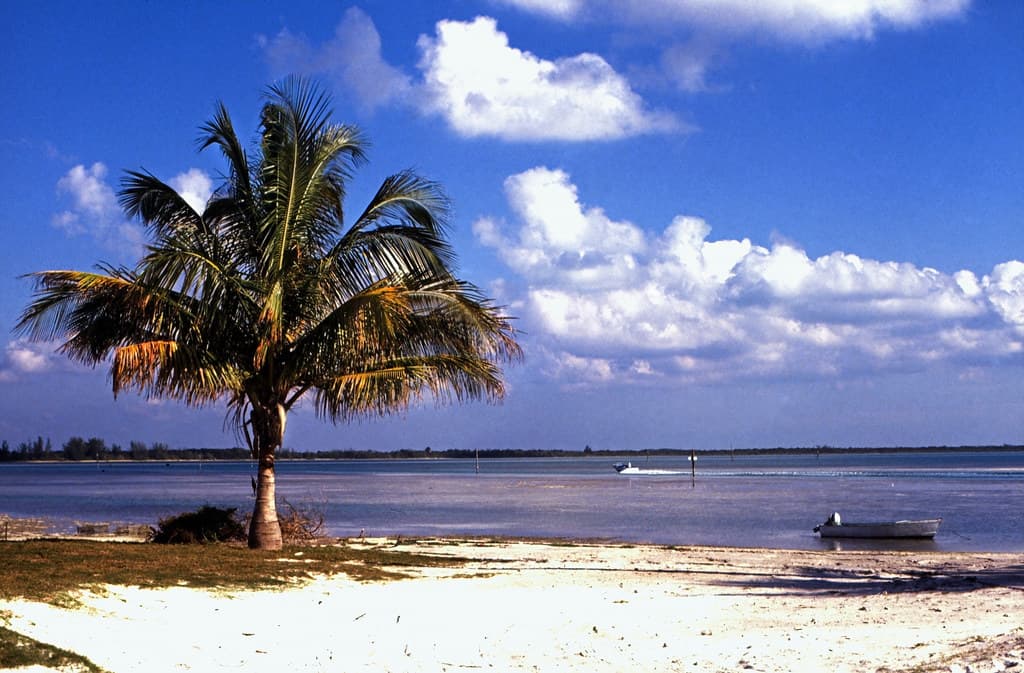 Russell Island Beach — photo by Rüdiger Stehn