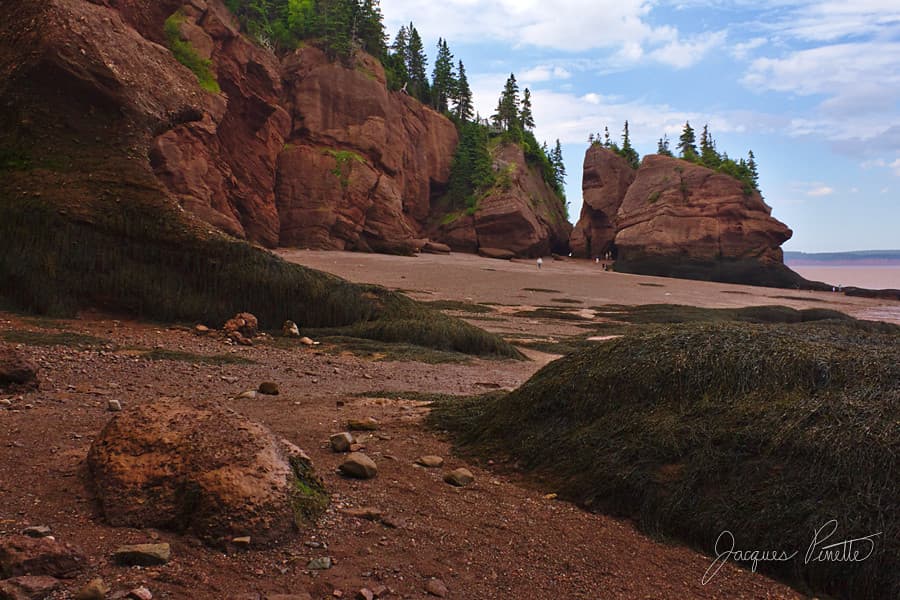 Cape Station Beach