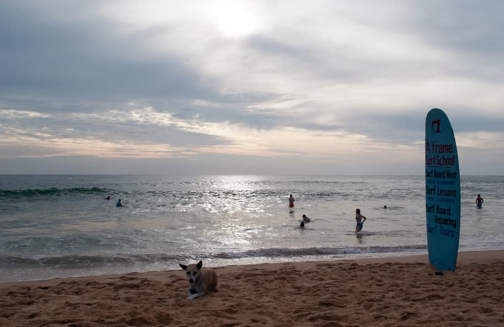Dodanduwa Beach — photo by Francesco Supertramp