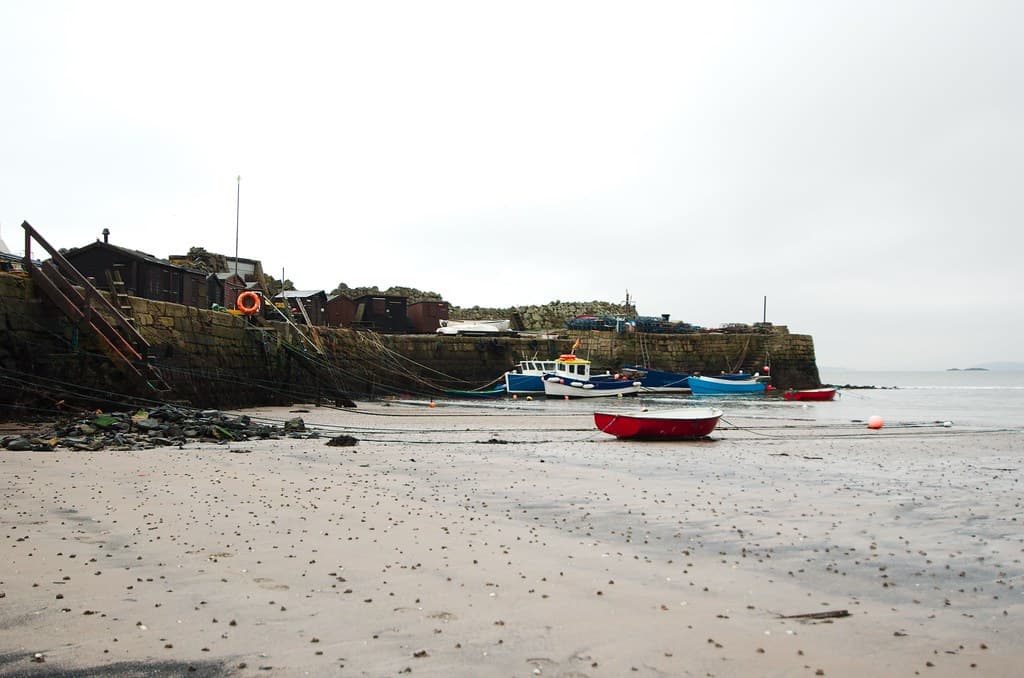 Kinghorn Beach — photo by marsupium photography