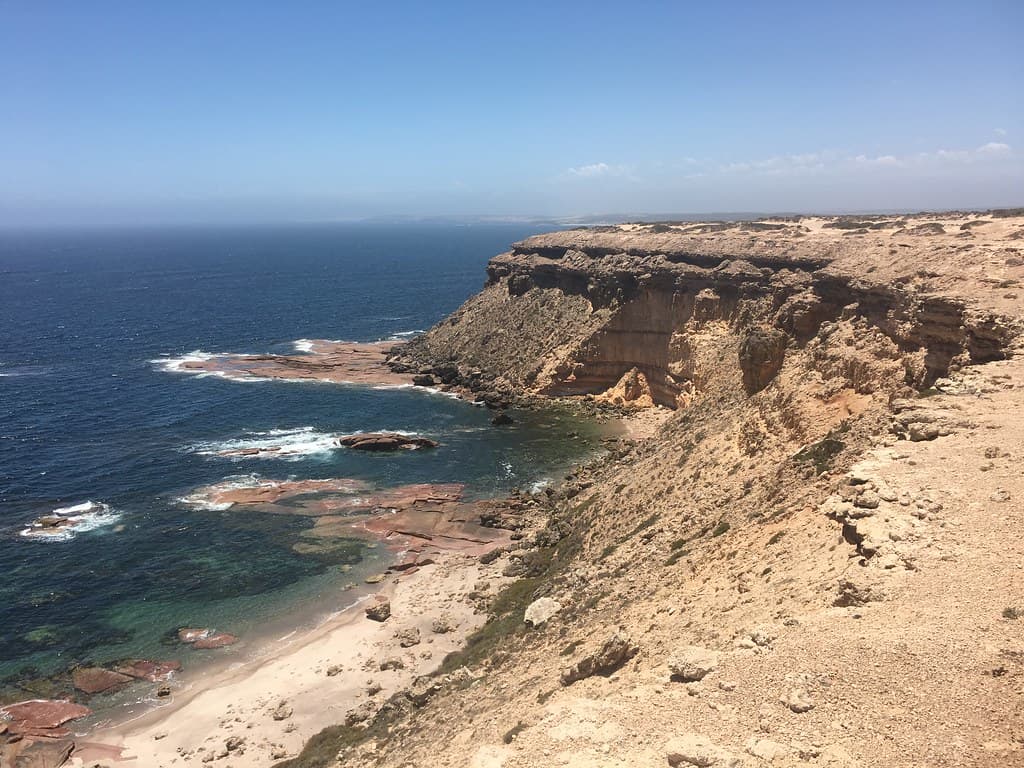 Point Labott