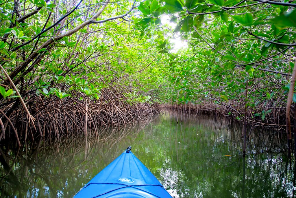 #TravelTuesday with My Public Lands