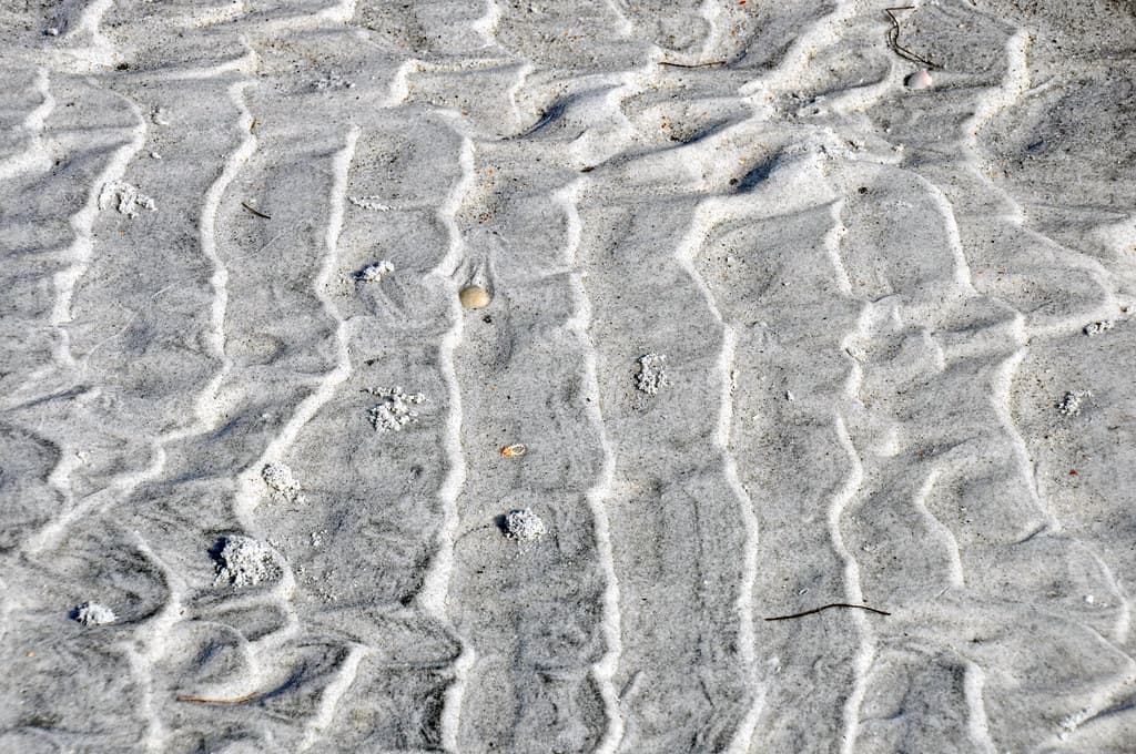 Ripples in backbeach channel (Cayo Costa Island, Florida, USA) 13