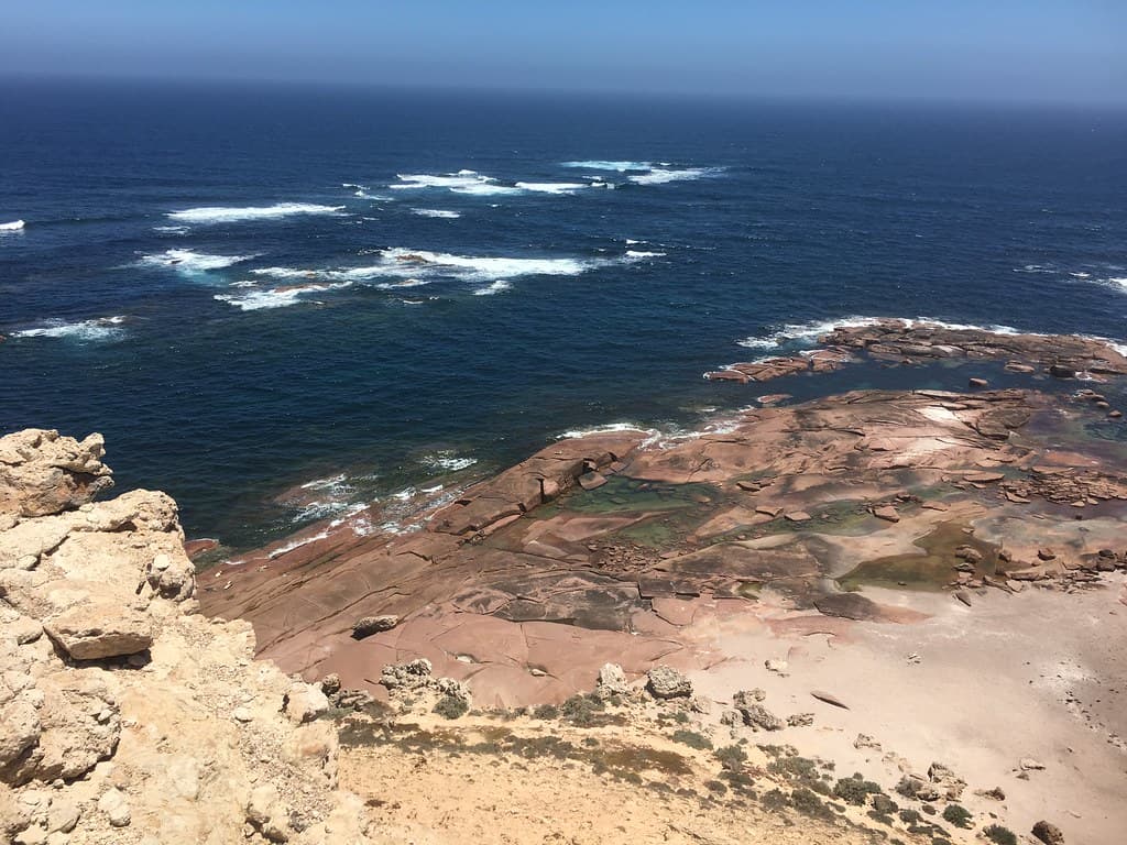 Point Labott