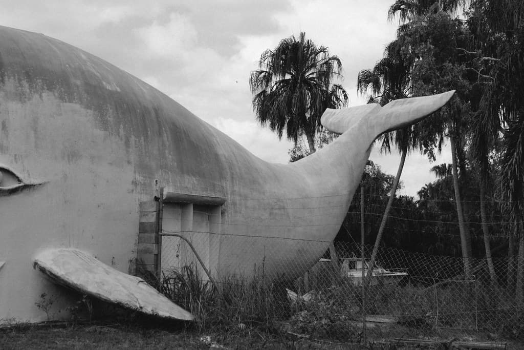 White Whale III