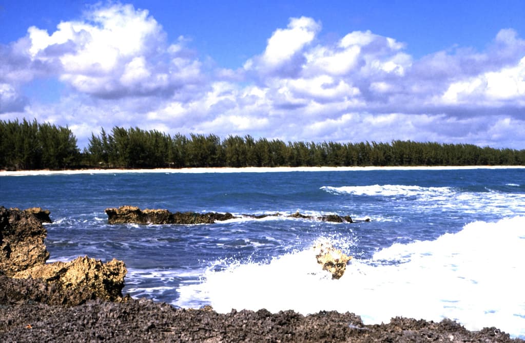 Leisure Lee Channel Beach — photo by Rüdiger Stehn