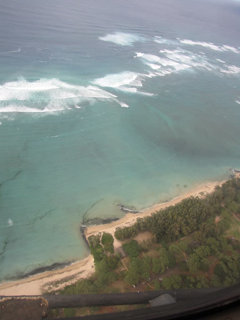 starr-100218-2640-Ipomoea_pes_caprae_subsp_brasiliensis-habitat_aerial_view_Lae_Ula_O_Kai_Canoe_Club-Kanaha_Beach-Maui