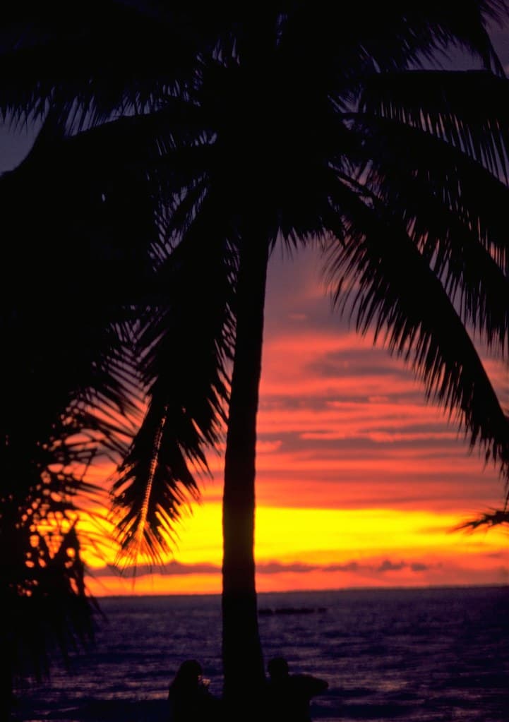 Champagne Sunset