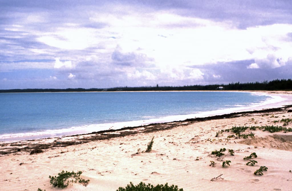 Leisure Lee Channel Beach — photo by Rüdiger Stehn