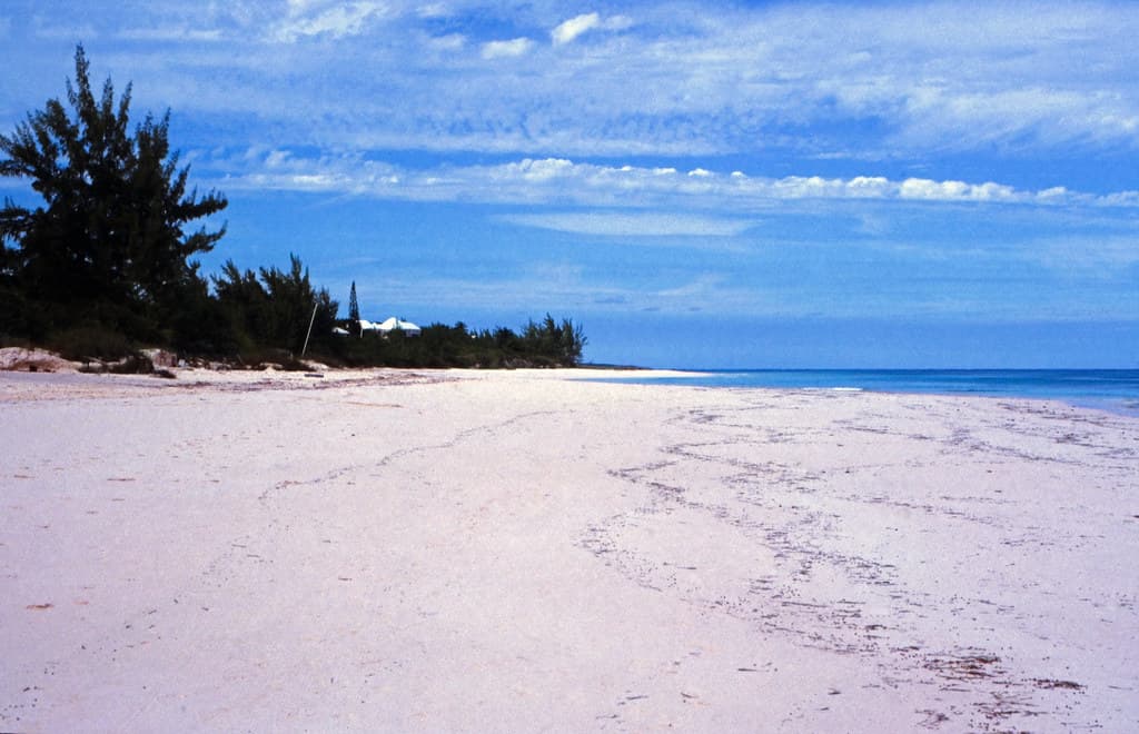 The Bluff Beach — photo by Rüdiger Stehn