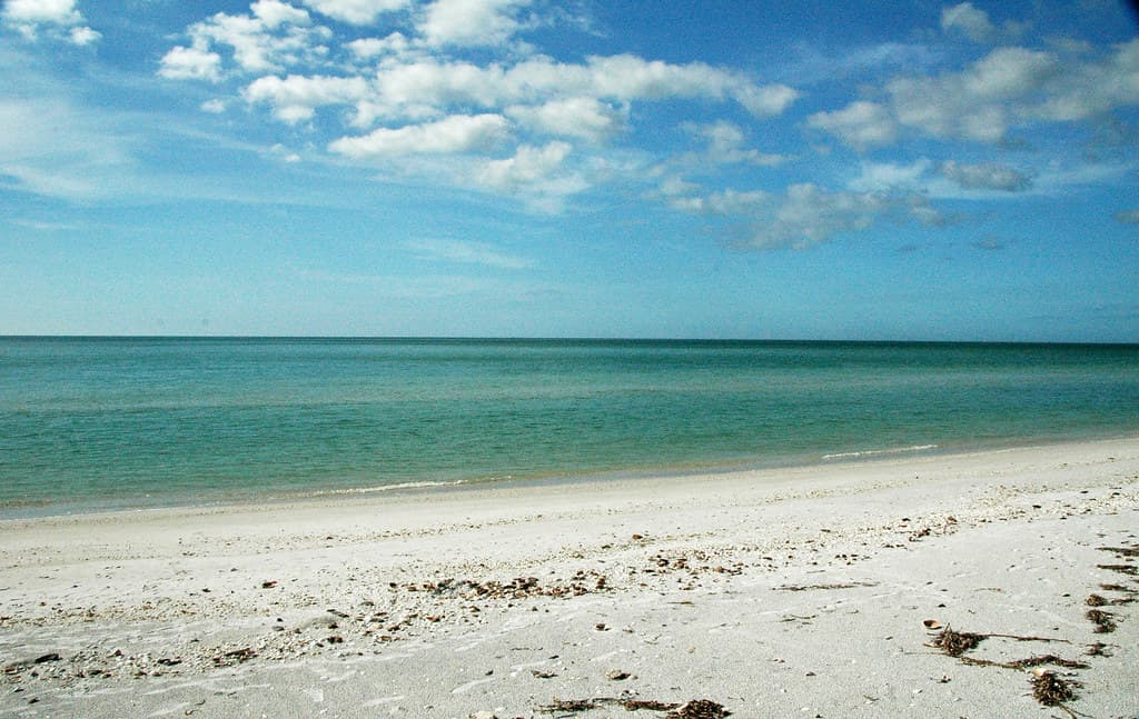 Gulf of Mexico (view from Cayo Costa Island, Florida, USA) 3
