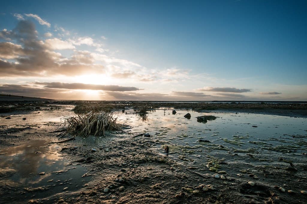 Bensersiel Mainland Beach