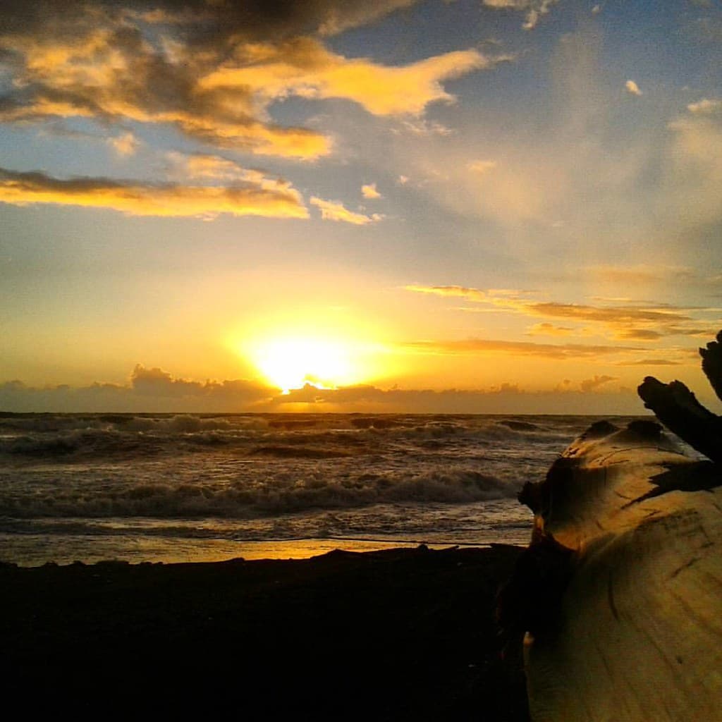 Morgan Street Beach — photo by Brian Scantlebury