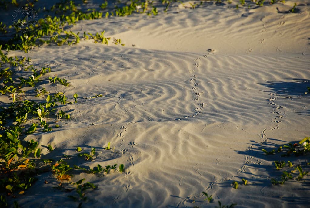 Green Island Beach