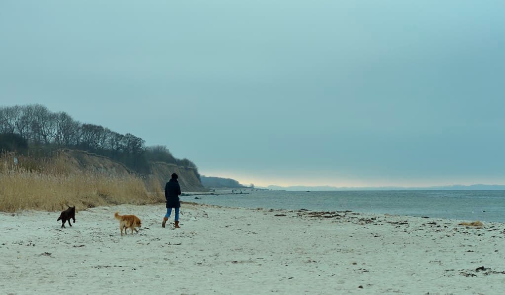 Grönwohld Beach
