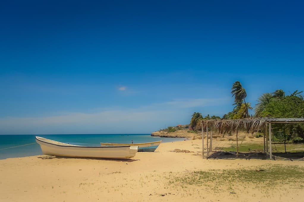 Playa Punta Manicuare
