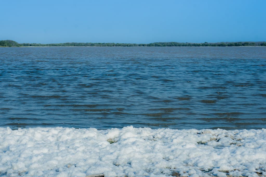 Playa Cayo Sal