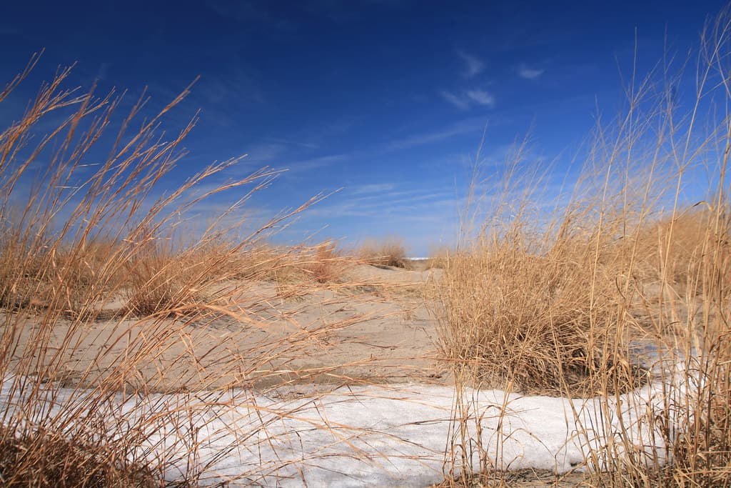 Headlands Beach State Park — photo by laszlo-photo