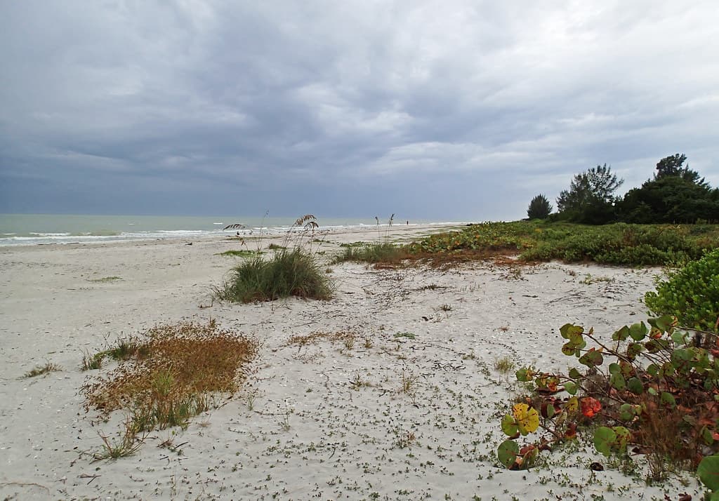 Sanibel Inn Beach (Sanibel Island, Florida, USA) 1