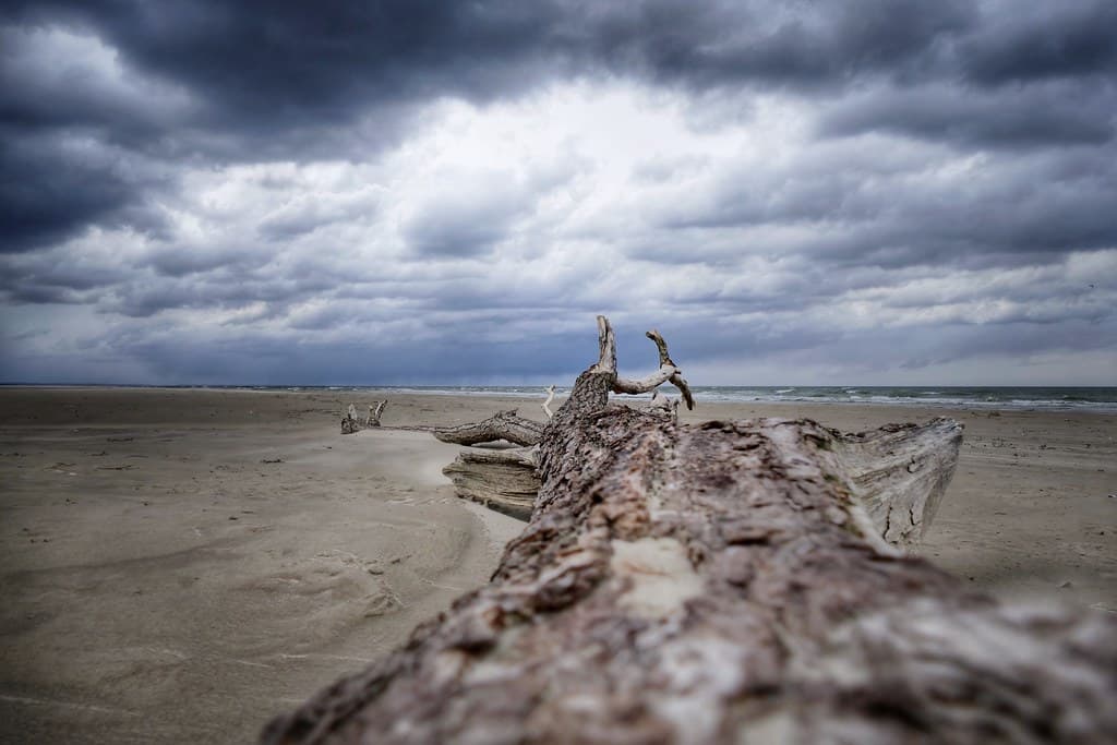 Saltum Beach — photo by yepyep